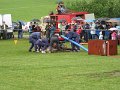 Beloveza 2007    14